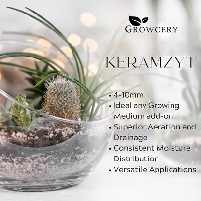 Handful of premium Keramzyt 4–10 mm used as terrarium substrate under air plant and cactus display
