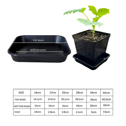 Heavy-duty plastic square saucer with top and bottom width measurements – plant drip tray with pot for indoor/outdoor gardening