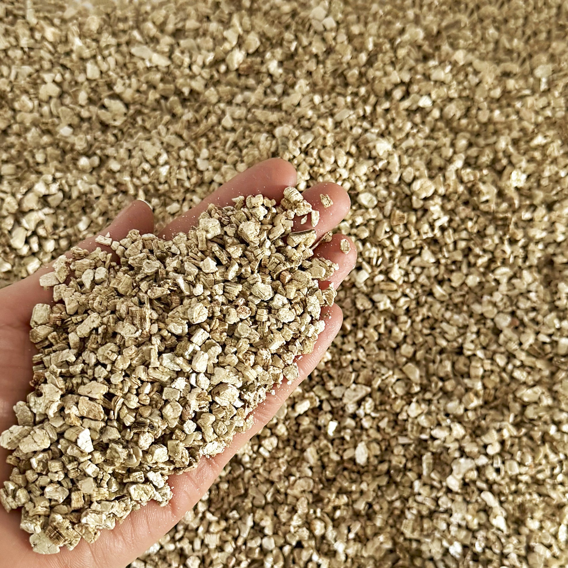 Close-up of vermiculite for plants held in hand, showcasing the texture and quality of the soil additive.