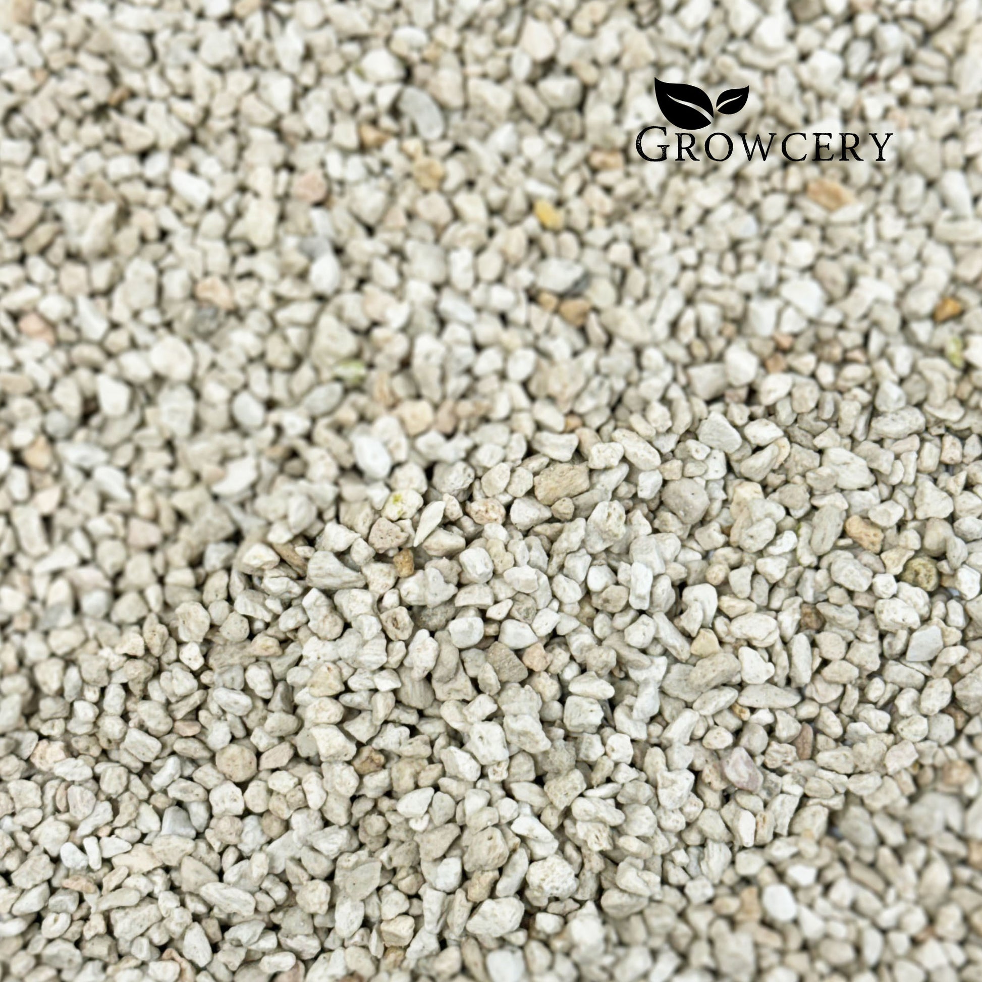 Perlite for plants Perlite for plant pots Loose volcanic pumice granules scattered on white background